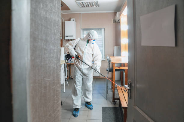Best Mold Removal for HVAC Installations  in Elbow Lake, MN