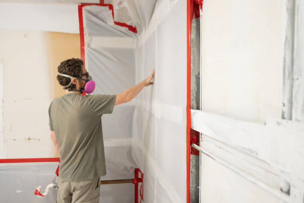 Best Air Quality Testing for Mold Spores  in Elbow Lake, MN