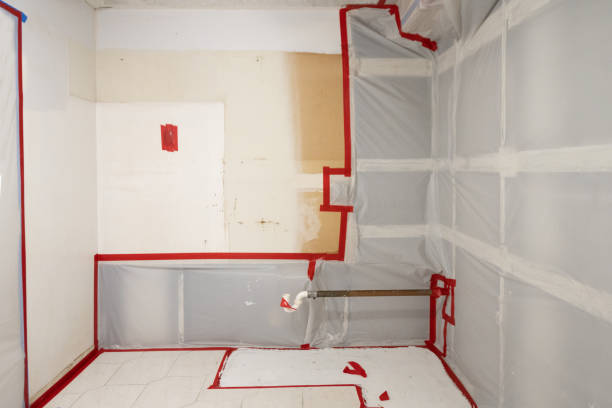 Best Environmental Consulting for Mold Prevention  in Elbow Lake, MN