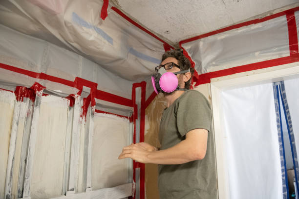 Best Dehumidification Services  in Elbow Lake, MN