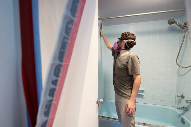 Best Mold Remediation for Healthcare Facilities  in Elbow Lake, MN
