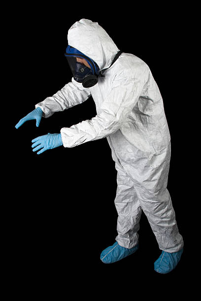 Best Basement Mold Removal  in Elbow Lake, MN