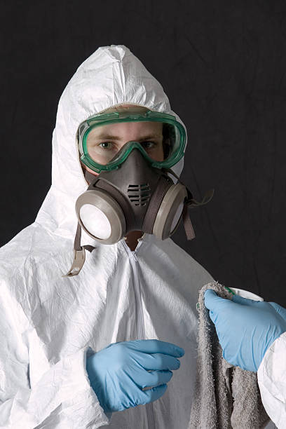 Best Mold Damage Restoration  in Elbow Lake, MN